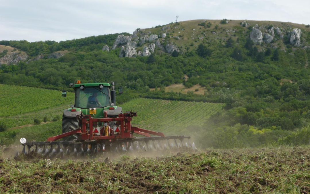 Příprava vinice leto diskování 2011