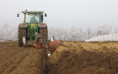 Příprava VINICE – podzim rigolace 2011