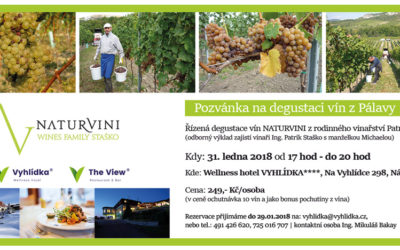 Degustace Moravských Vín Hotel Vyhlídka****