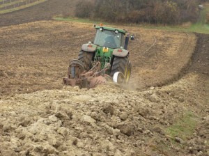 Příprava VINICE - podzim rigolace 2011