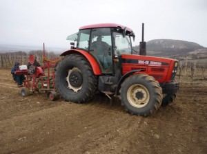 Výsadba I VINIC 2012