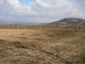 P1040672
