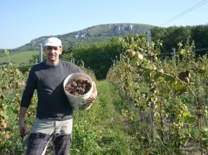 Panensky zber PA 16.09.2014