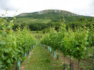 Vinohrady RV a PA 26.6.2016